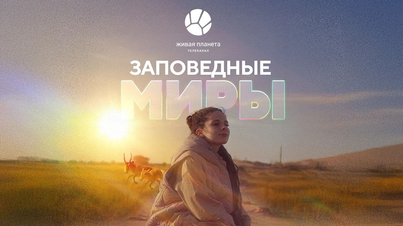 Проект «Заповедные миры» телеканала «Живая Планета» победил в номинации «Лучший просветительский проект»