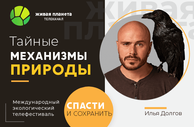 Лучший докфильм экофестиваля «Спасти и сохранить»